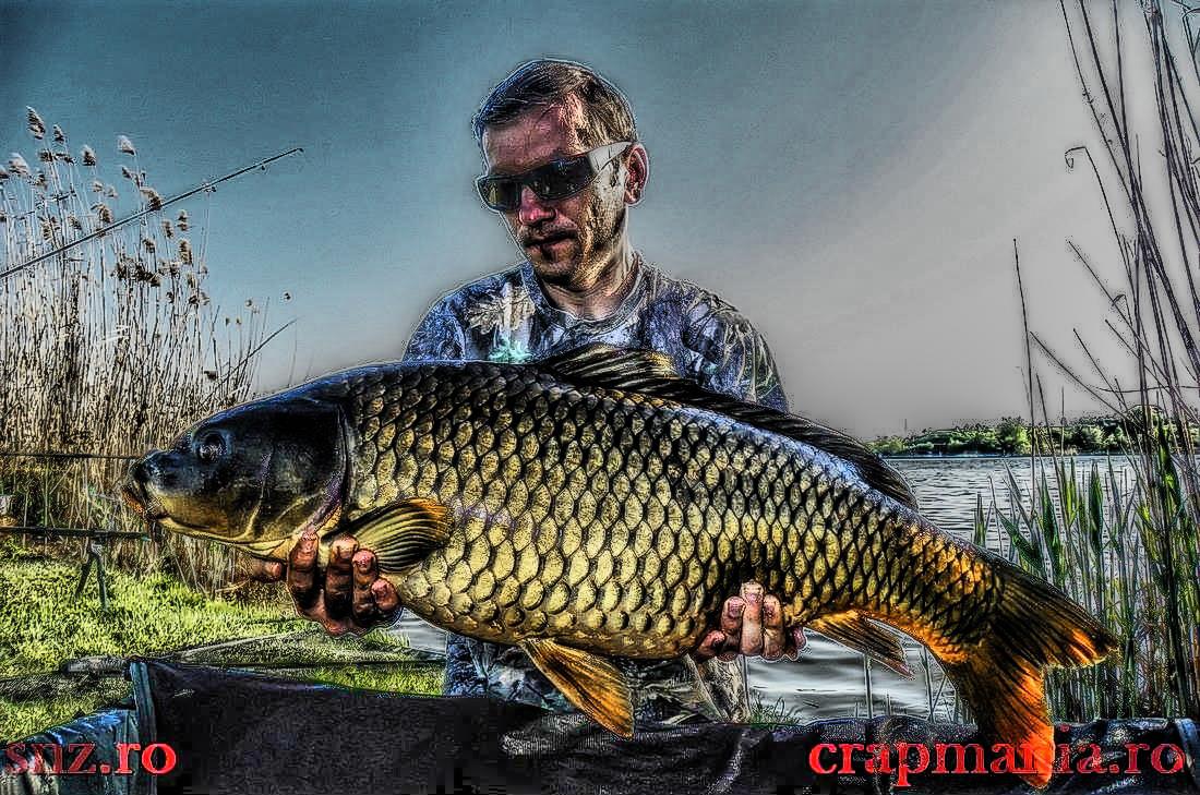 Trofeul Tancabesti - 2013 - 1010255hdrmode2.jpg